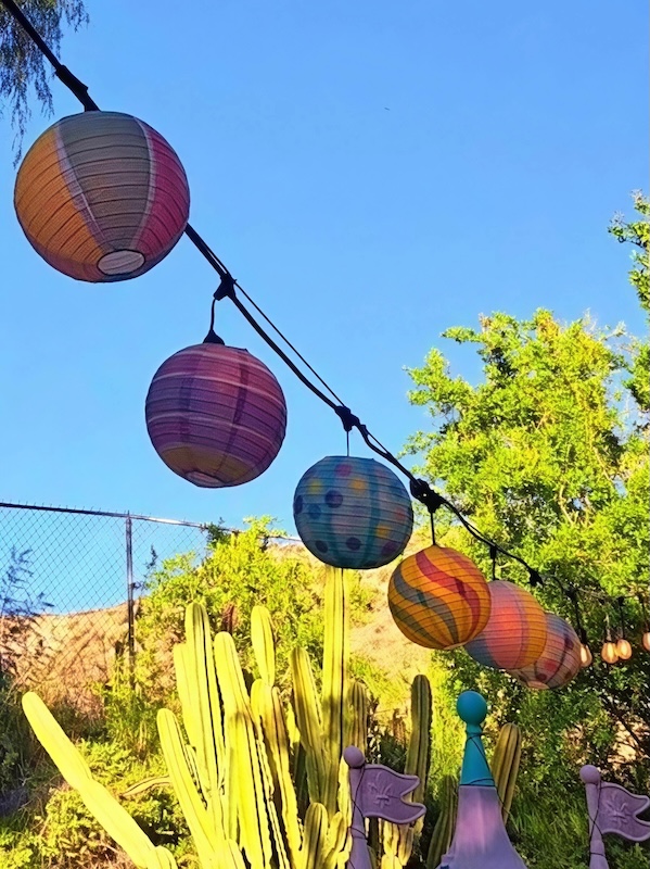 paper lantern customer review 12141932