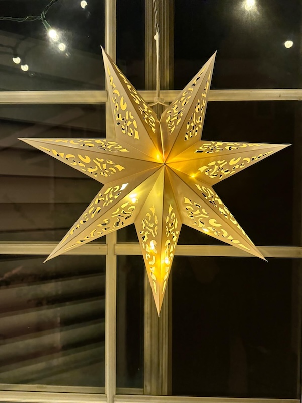 paper lantern customer review 1214196